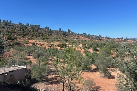 Finca i Ayora, Valencia, Ayora - € 145.000 | Ref: S-1544628 - foto 22