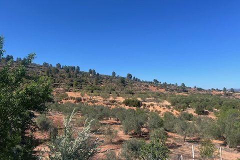 Finca i Ayora, Valencia, Ayora - € 145.000 | Ref: S-1544628 - foto 14