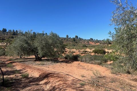 Finca i Ayora, Valencia, Ayora - € 145.000 | Ref: S-1544628 - foto 12