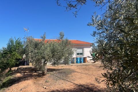 Finca i Ayora, Valencia, Ayora - € 145.000 | Ref: S-1544628 - foto 15
