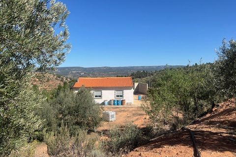 Finca i Ayora, Valencia, Ayora - € 145.000 | Ref: S-1544628 - foto 16