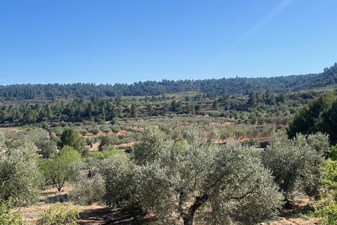 Finca i Ayora, Valencia, Ayora - € 145.000 | Ref: S-1544628 - foto 24