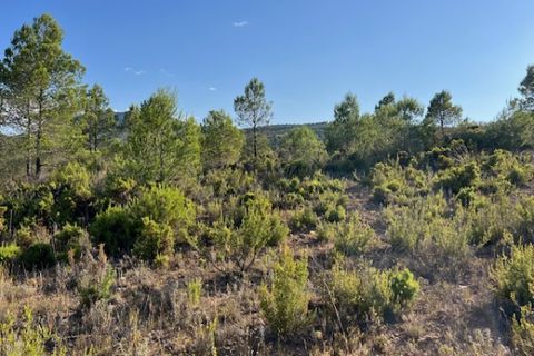 Finca i Ayora, Valencia, Ayora - € 49 000 | Ref: S-1580577 - foto 8