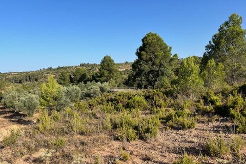 Finca i Ayora, Valencia, Ayora - € 49 000 | Ref: S-1580577 - foto 9
