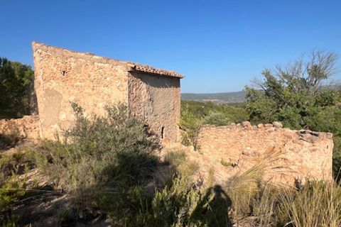 Finca i Ayora, Valencia, Ayora - € 49 000 | Ref: S-1580577 - foto 20