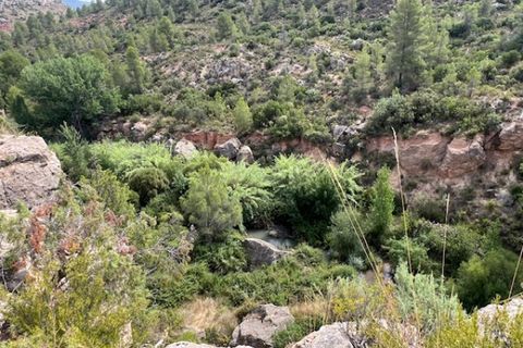 Finca i Ayora, Valencia, Ayora - € 49 000 | Ref: S-1580577 - foto 21