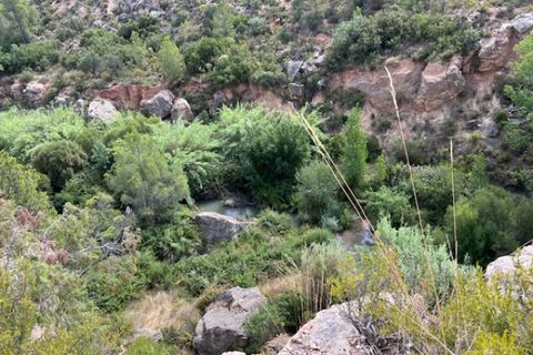 Finca i Ayora, Valencia, Ayora - € 49 000 | Ref: S-1580577 - foto 24