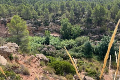 Finca i Ayora, Valencia, Ayora - € 49 000 | Ref: S-1580577 - foto 25