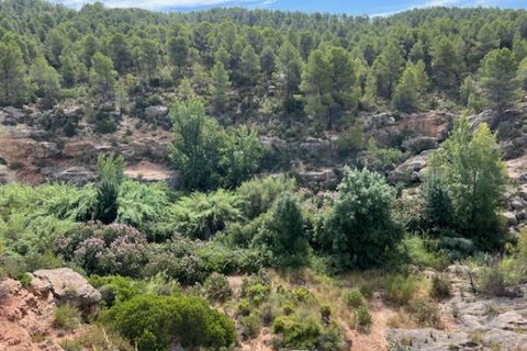 Finca i Ayora, Valencia, Ayora - € 49 000 | Ref: S-1580577 - foto 26