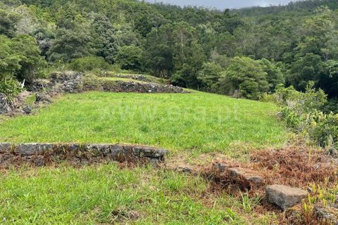 Helårsgrund i Lajes do Pico, Pico, Lajes do Pico - € 59.000 | Ref: 374250229 - foto 3