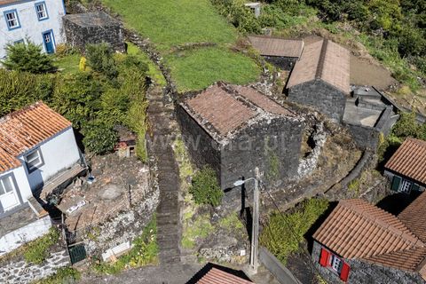 Helårsgrund i Lajes do Pico, Pico, Lajes do Pico - € 59.000 | Ref: 374250229 - foto 7