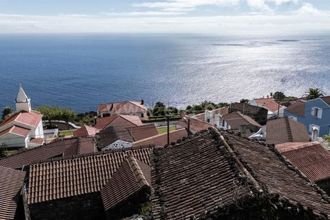 Helårsgrund i Lajes do Pico, Pico, Lajes do Pico - € 59.000 | Ref: 374250229 - foto 16