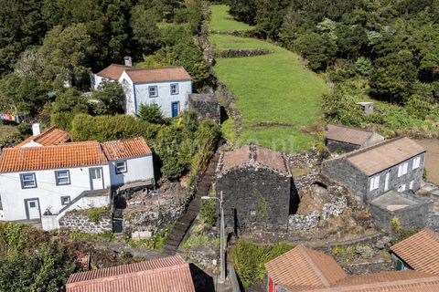 Helårsgrund i Lajes do Pico, Pico, Lajes do Pico - € 59.000 | Ref: 374250229 - foto 21