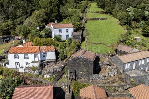 Helårsgrund i Lajes do Pico, Pico, Lajes do Pico - € 59.000 | Ref: 374250229 - foto 22