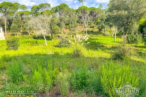 Terra a Sils, Gerona, Sils - € 69.000 | Ref: PAR0144 - foto 2