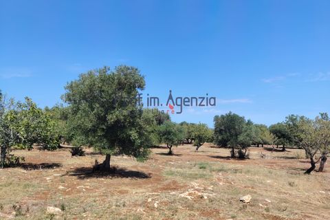 Helårsgrund i Carovigno, Brindisi, Carovigno - € 45.000 | Ref: 122964 - foto 10
