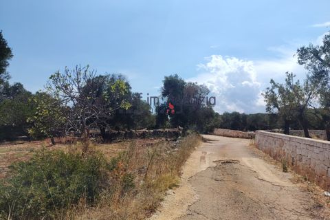 Helårsgrund i Carovigno, Brindisi, Carovigno - € 45.000 | Ref: 122964 - foto 5