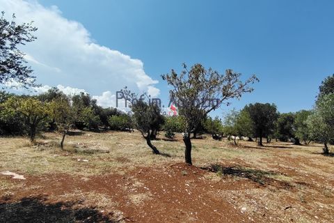 Helårsgrund i Carovigno, Brindisi, Carovigno - € 45.000 | Ref: 122964 - foto 4