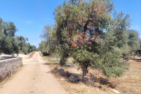 Helårsgrund i Carovigno, Brindisi, Carovigno - € 45.000 | Ref: 122964 - foto 8
