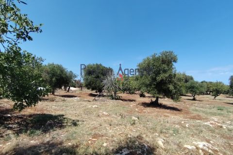 Helårsgrund i Carovigno, Brindisi, Carovigno - € 45.000 | Ref: 122964 - foto 1