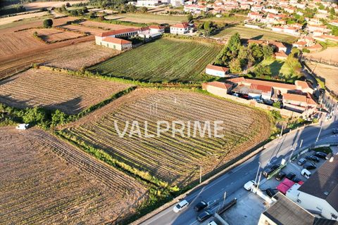 Helårsgrund i Trofa, Porto, Trofa - € 90.000 | Ref: 2025_22 - foto 8