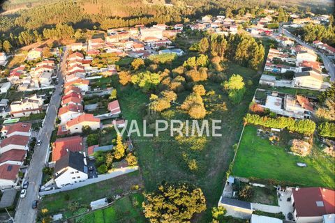 Helårsgrund i Trofa, Porto, Trofa - € 450.000 | Ref: 2025_23 - foto 12