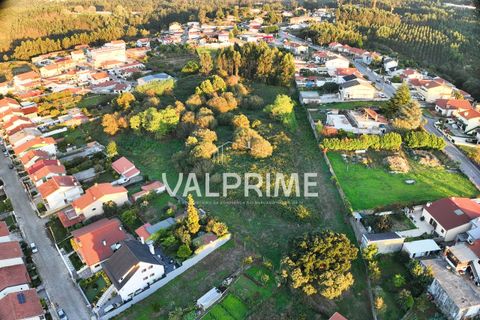 Helårsgrund i Trofa, Porto, Trofa - € 450.000 | Ref: 2025_23 - foto 13