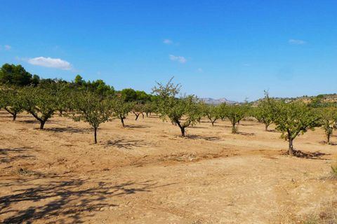 Finca i Maella, Zaragoza, Maella - € 69.000 | Ref: 1081 - foto 45