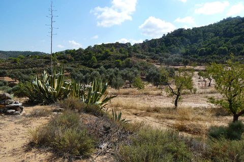 Finca i Maella, Zaragoza, Maella - € 69.000 | Ref: 1081 - foto 16