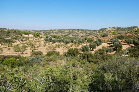 Finca i Maella, Zaragoza, Maella - € 69.000 | Ref: 1081 - foto 37