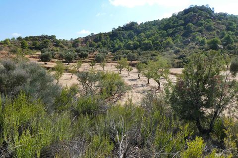 Finca i Maella, Zaragoza, Maella - € 69.000 | Ref: 1081 - foto 19