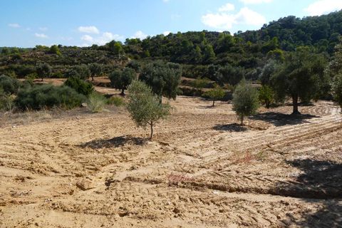 Finca i Maella, Zaragoza, Maella - € 69.000 | Ref: 1081 - foto 31