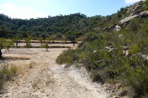 Finca i Maella, Zaragoza, Maella - € 69.000 | Ref: 1081 - foto 17