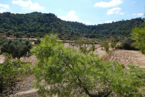 Finca i Maella, Zaragoza, Maella - € 69.000 | Ref: 1081 - foto 15