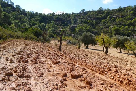 Finca i Maella, Zaragoza, Maella - € 69.000 | Ref: 1081 - foto 23