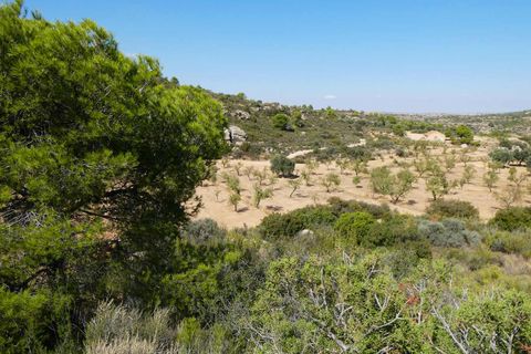 Finca i Maella, Zaragoza, Maella - € 69.000 | Ref: 1081 - foto 38