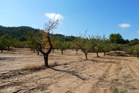 Finca i Maella, Zaragoza, Maella - € 69.000 | Ref: 1081 - foto 44