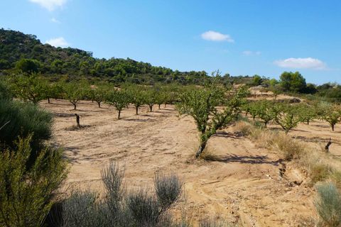 Finca i Maella, Zaragoza, Maella - € 69.000 | Ref: 1081 - foto 46