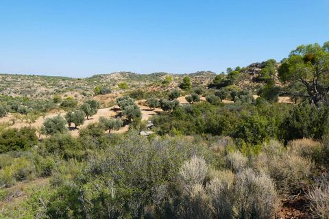 Finca i Maella, Zaragoza, Maella - € 69.000 | Ref: 1081 - foto 36