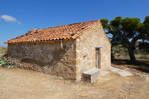 Finca i Maella, Zaragoza, Maella - € 69.000 | Ref: 1081 - foto 8