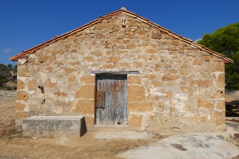 Finca i Maella, Zaragoza, Maella - € 69.000 | Ref: 1081 - foto 9