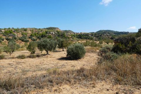 Finca i Maella, Zaragoza, Maella - € 69.000 | Ref: 1081 - foto 42