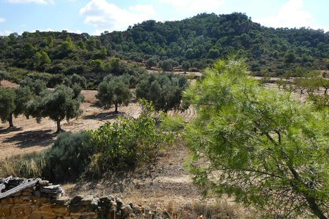 Finca i Maella, Zaragoza, Maella - € 69.000 | Ref: 1081 - foto 14