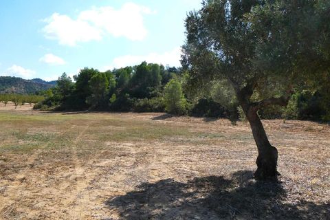Finca i Maella, Zaragoza, Maella - € 69.000 | Ref: 1081 - foto 43