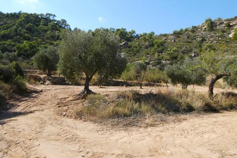 Finca i Maella, Zaragoza, Maella - € 69.000 | Ref: 1081 - foto 20