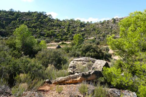 Finca i Maella, Zaragoza, Maella - € 69.000 | Ref: 1081 - foto 39