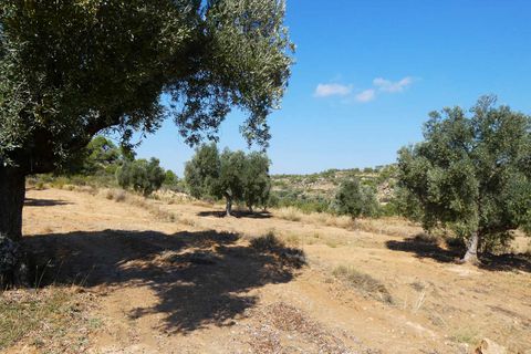 Finca i Maella, Zaragoza, Maella - € 69.000 | Ref: 1081 - foto 40