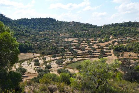 Finca i Maella, Zaragoza, Maella - € 69.000 | Ref: 1081 - foto 48