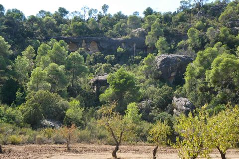 Finca i Maella, Zaragoza, Maella - € 69.000 | Ref: 1081 - foto 25
