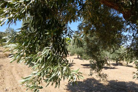 Finca i Maella, Zaragoza, Maella - € 69.000 | Ref: 1081 - foto 26